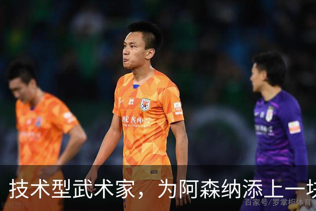 技术型武术家，为阿森纳添上一块拼图